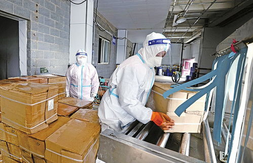 融媒先锋｜进口冷链食品进济“安检” 每个流程和细节都不放过，仓外的“眼睛”点亮停车场服务